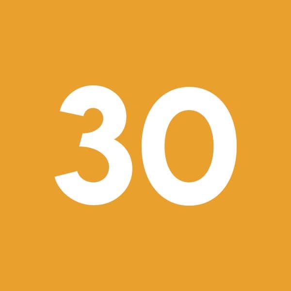 Bist 30